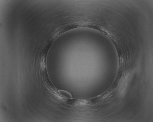 X0000084010479200702232209