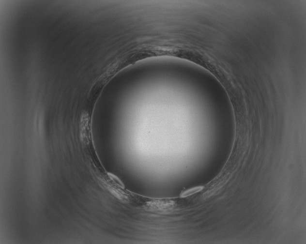 X0000084010480200702232209