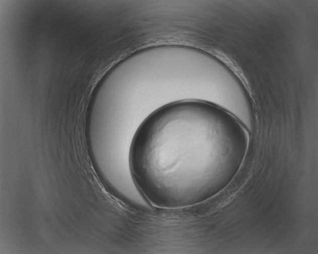 X0000084010481200702232208