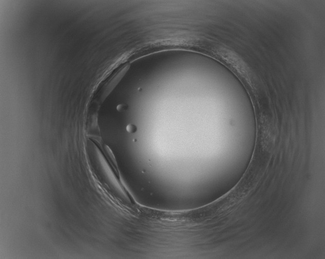 X0000084010482200702232208