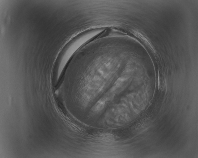 X0000084010483200702232208