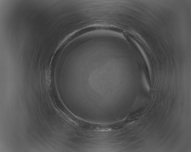 X0000084010484200702232208