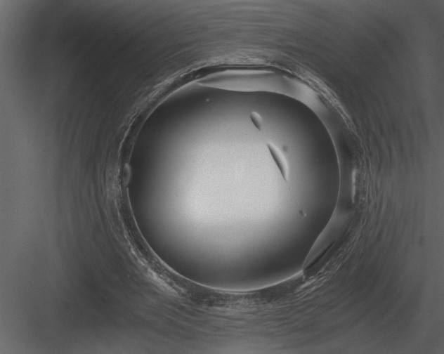 X0000084010485200702232208