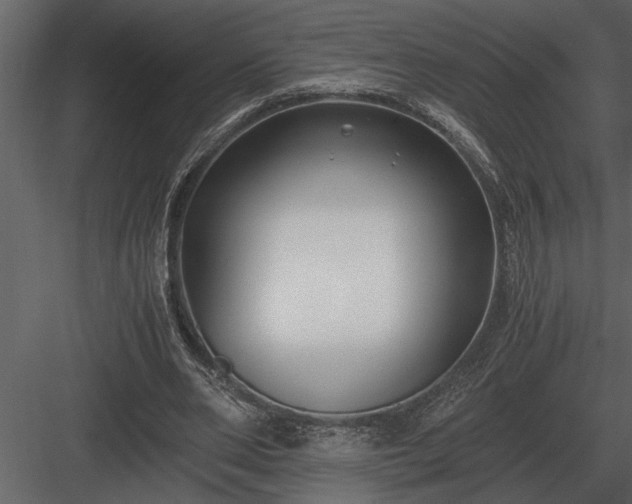 X0000084010486200702232208