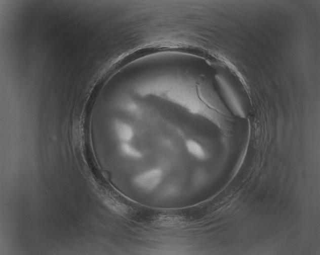 X0000084010487200702232208