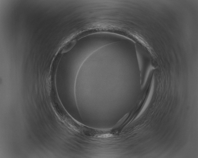 X0000084010488200702232208