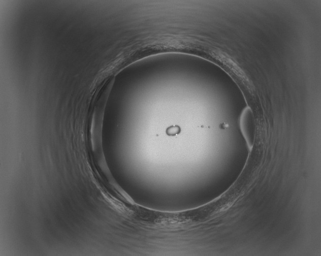 X0000084010489200702232208