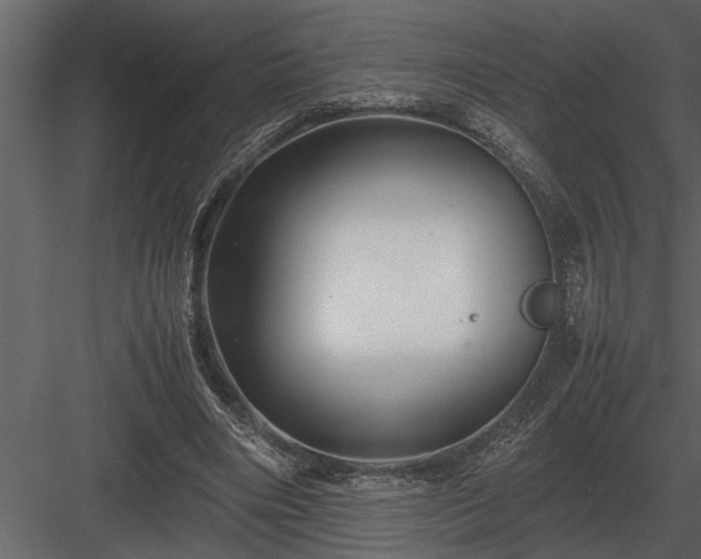 X0000084010490200702232208