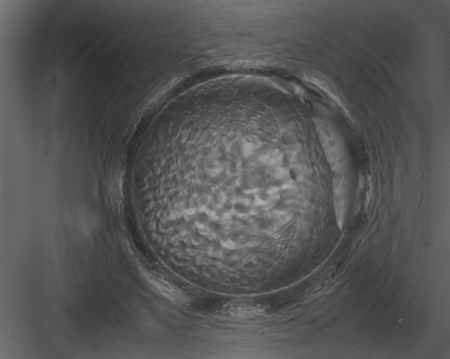 X0000084010491200702232208