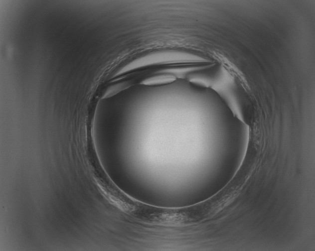 X0000084010493200702232208