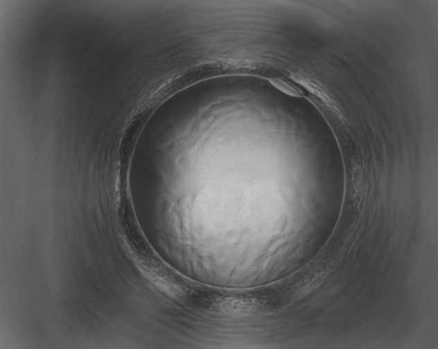 X0000084010494200702232208