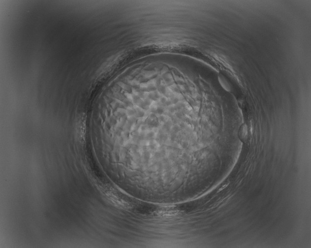 X0000084010495200702232208