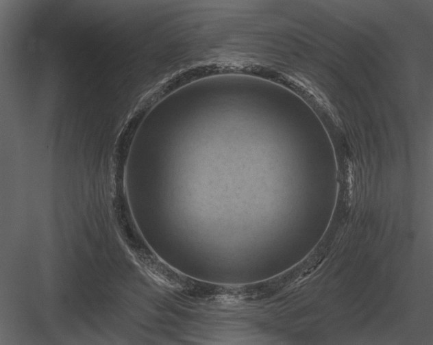 X0000084010496200702232208