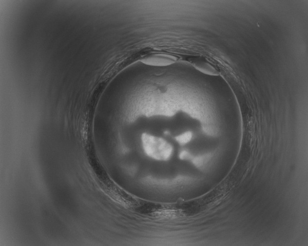 X0000084010499200702232208