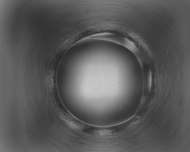 X0000084010501200702232208