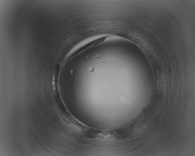 X0000084010502200702232208