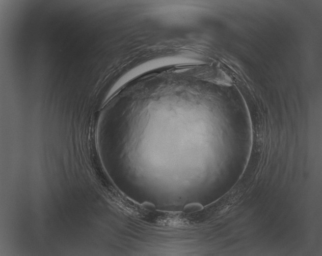 X0000084010503200702232208