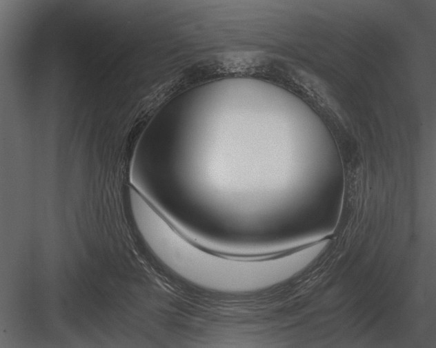 X0000084010505200702232208