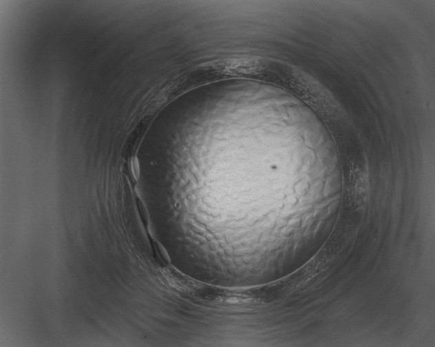 X0000084010506200702232208