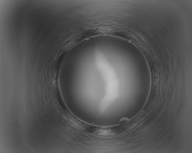 X0000084010507200702232208