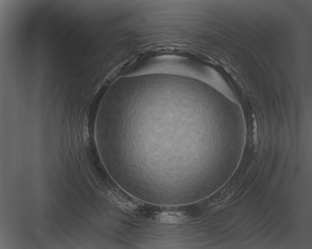 X0000084010508200702232208