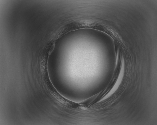 X0000084010509200702232208