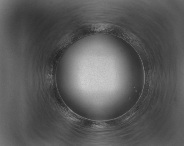 X0000084010510200702232208