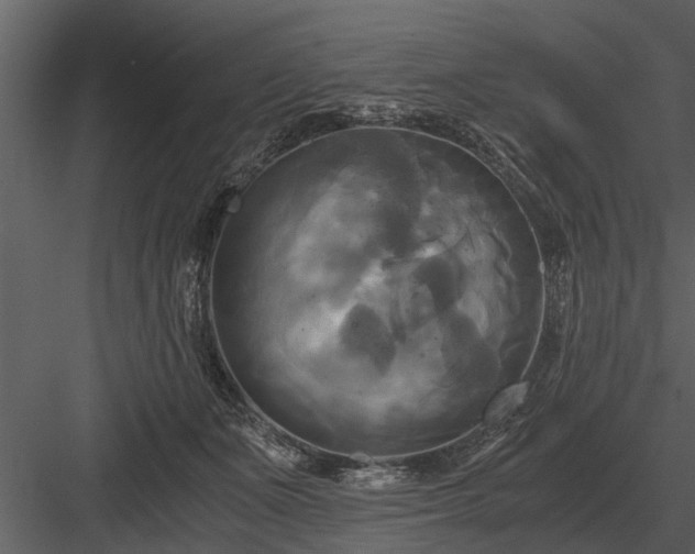 X0000084010511200702232208