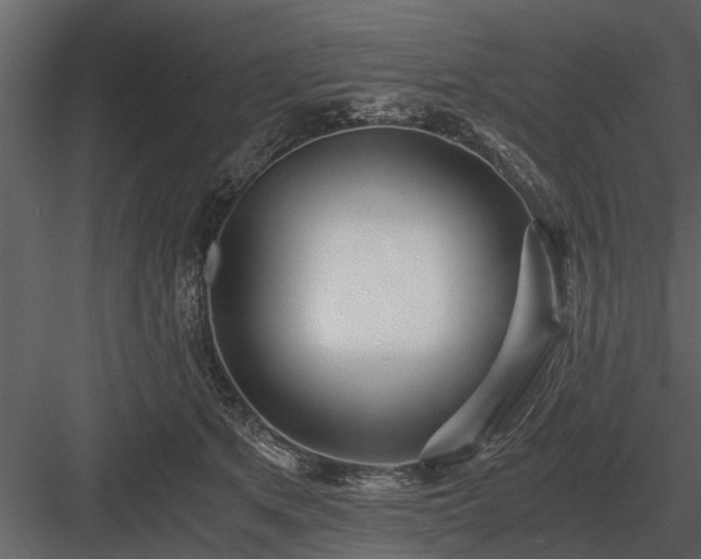 X0000084010513200702232208