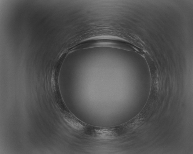 X0000084010516200702232208