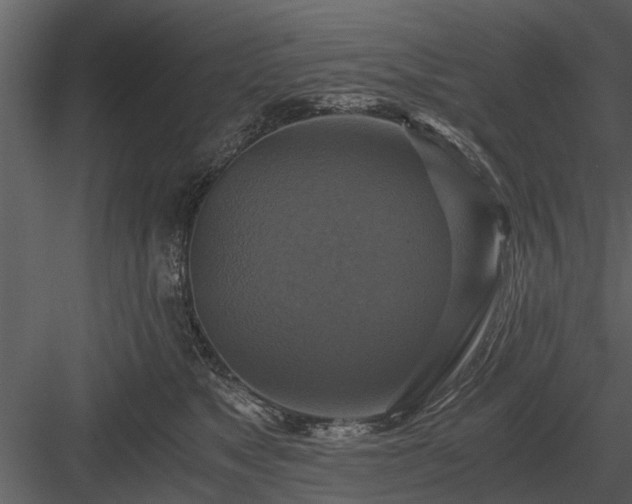 X0000084010517200702232208