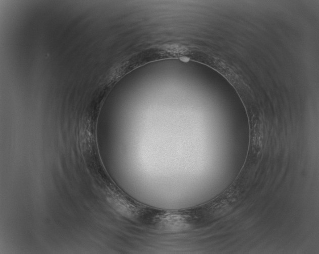 X0000084010518200702232208