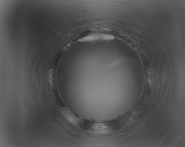 X0000084010519200702232208