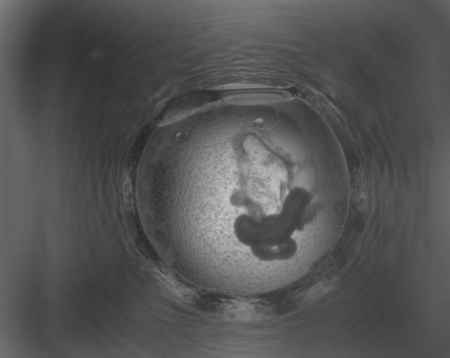 X0000084010523200702232208