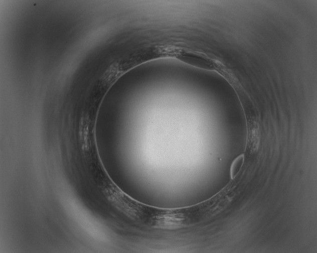 X0000084010525200702232208