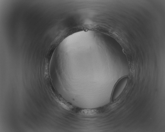 X0000084010526200702232208