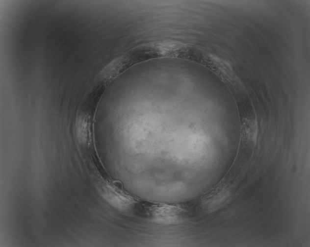 X0000084010527200702232208