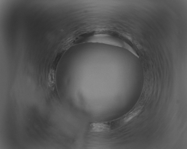 X0000084010528200702232208