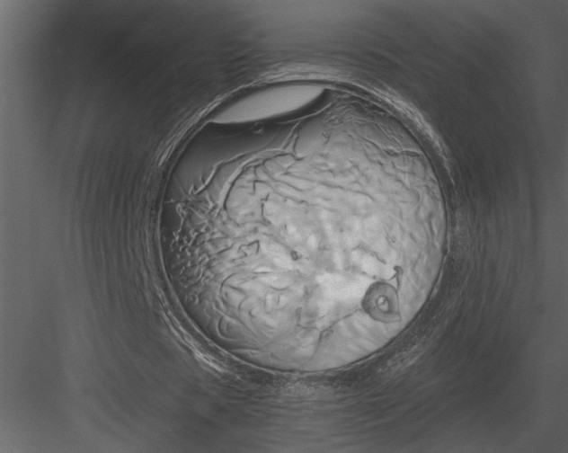 X0000084010529200702232207