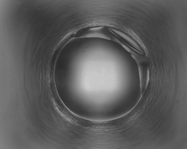 X0000084010530200702232207