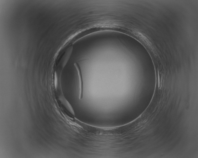 X0000084010531200702232207