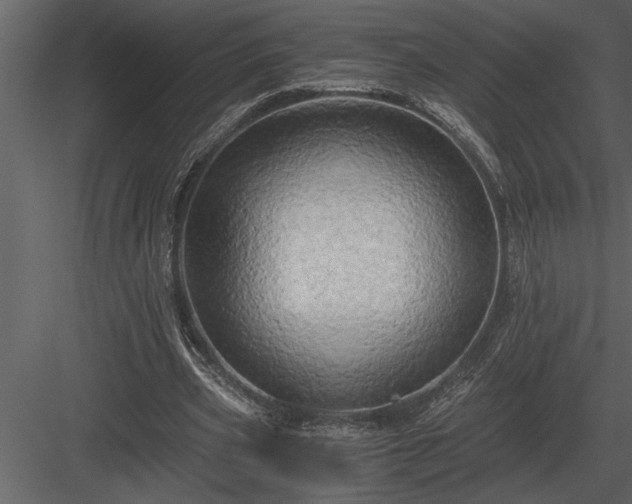 X0000084010533200702232207