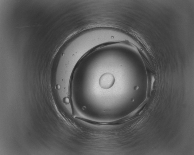 X0000084010534200702232207