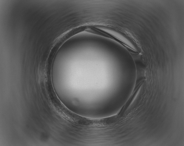 X0000084010536200702232207