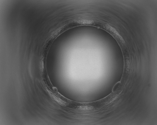 X0000084010541200702232207