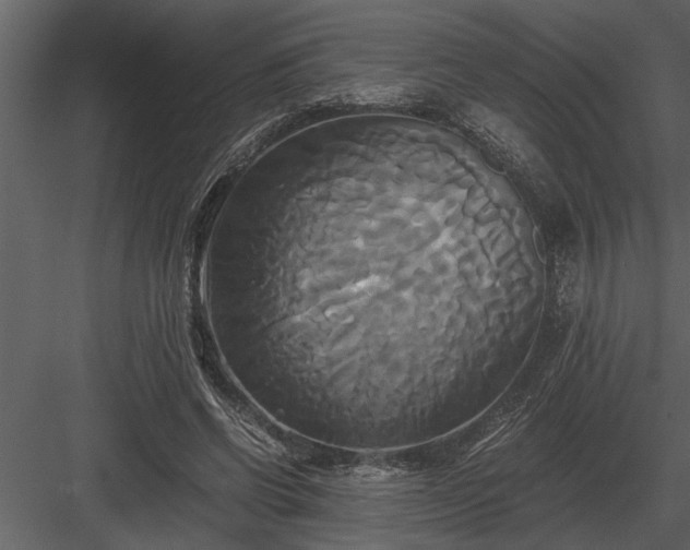 X0000084010542200702232207