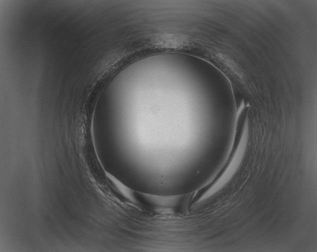 X0000084010544200702232207