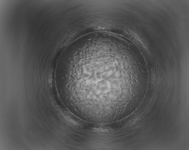 X0000084010545200702232207