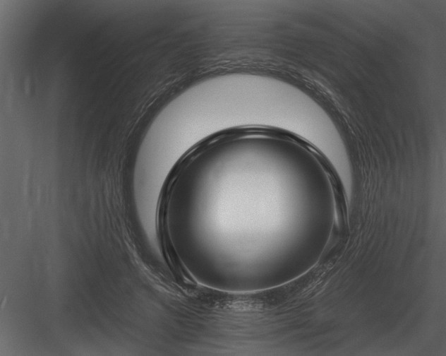 X0000084010546200702232207