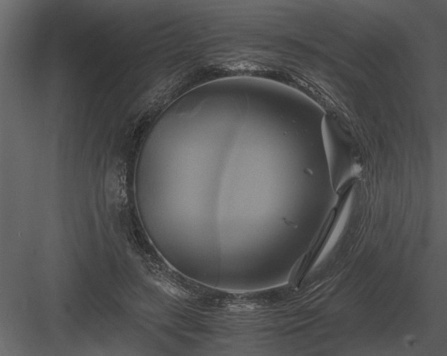 X0000084010547200702232207